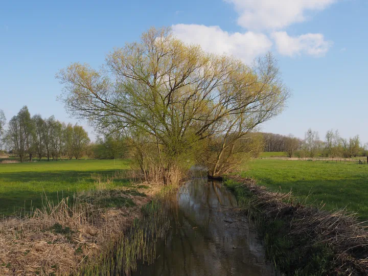 Kalkense Meersen (België)